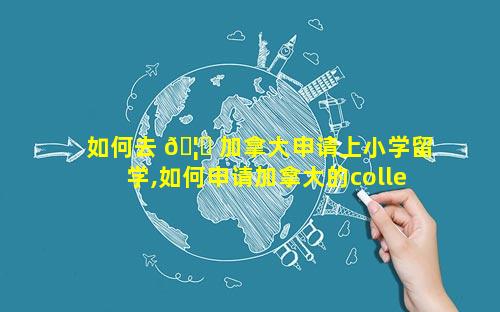 如何去 🦆 加拿大申请上小学留学,如何申请加拿大的college